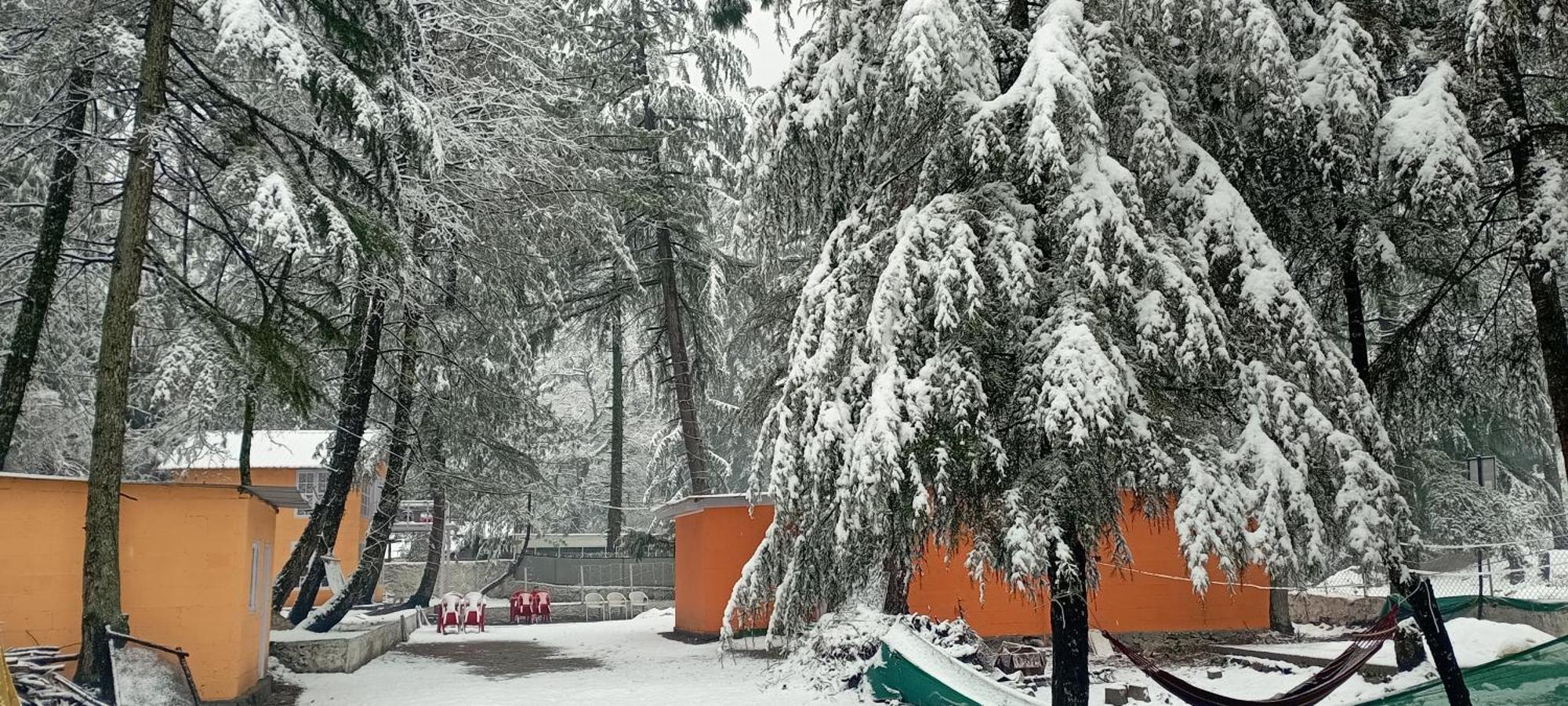 Pandora Riverside Cafe & Stay Kasol Exterior photo