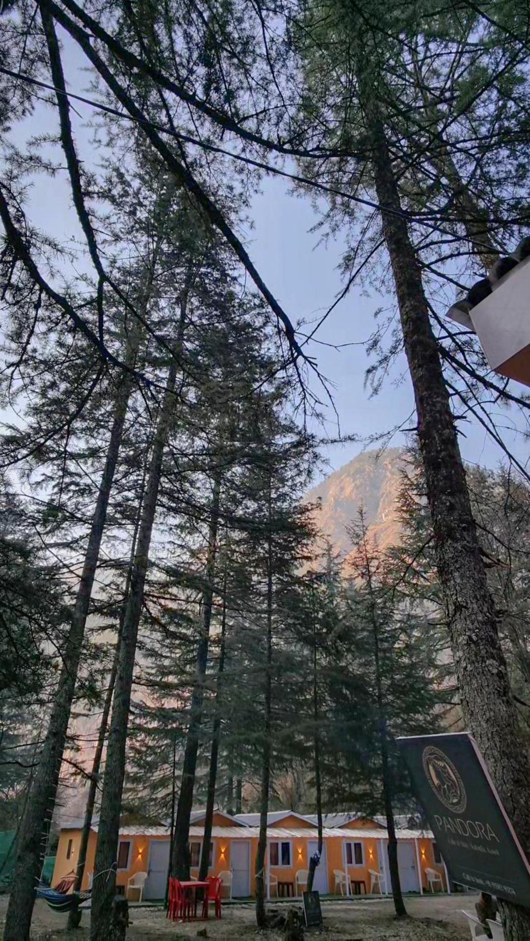 Pandora Riverside Cafe & Stay Kasol Exterior photo